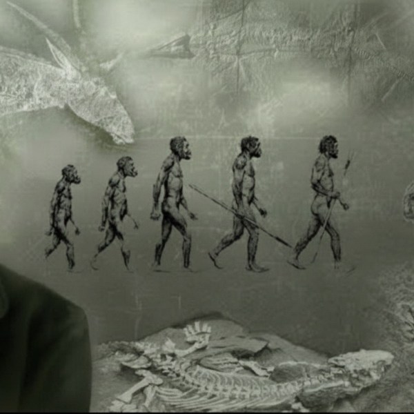 Evrim Teorisi: Sadece Bir Fikir mi? Yoksa Bilimin Gücü&nbsp;mü?